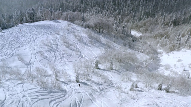 无人机观看雪上滑板免费骑在白雪皑皑的雪山在冬季的森林景观。鸟瞰图滑雪板移动的山坡在冬季高地。冬季运动活动视频素材