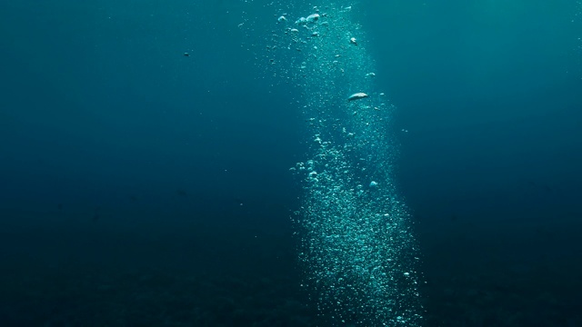 海洋中的水下气泡。泡泡浮在热带蓝色的海面上。视频素材