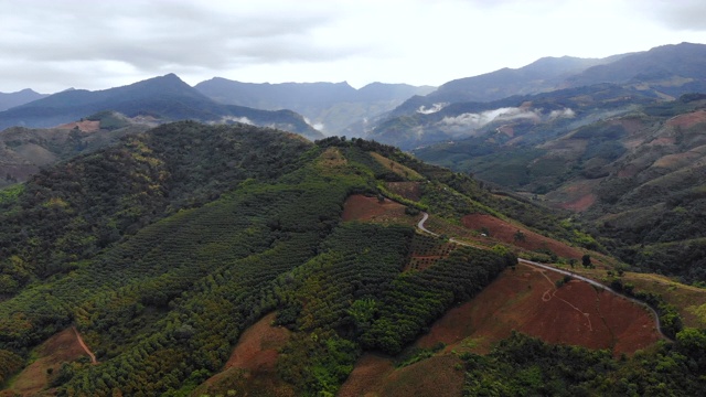 鸟瞰图无人机拍摄的风景优美的热带自然林木林背山视频素材