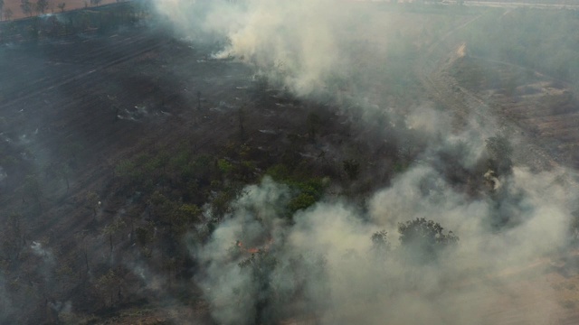 白天鸟瞰野火产生的烟雾视频素材