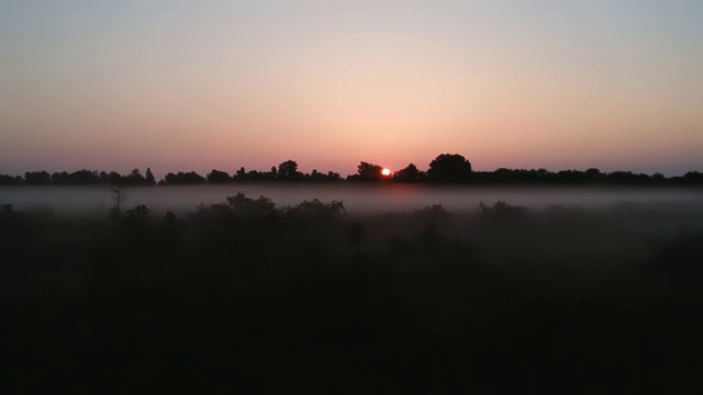 沉思飞翔，穿越夏日迷雾，飞向太阳视频素材