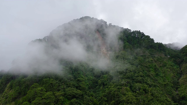 山峰上布满了雨林和云雾。热带气候中的雨云视频素材