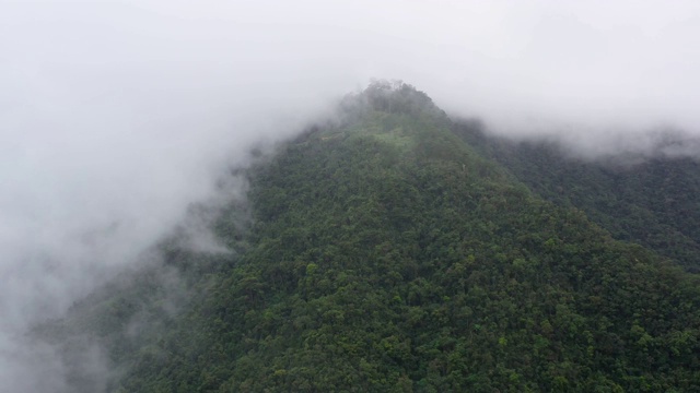 乌云密布，绿树成荫。热带气候中的雨云视频素材