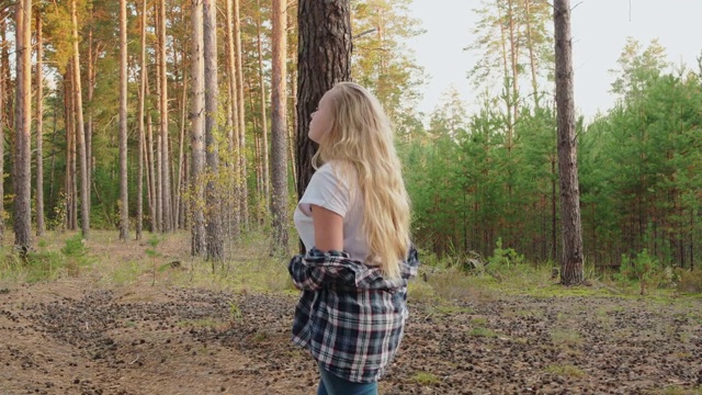 年轻的女孩走在松林松树。金发女人走在松树林中的暑假。视频素材