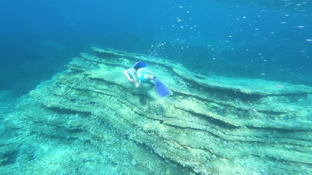 戴面罩的浮潜者在水下探索热带海洋视频素材