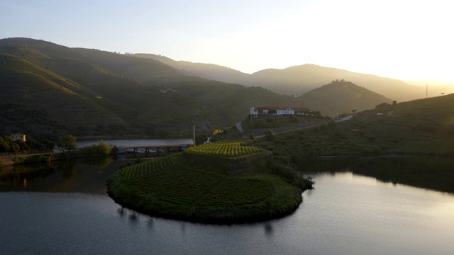 Quinta do Tedo的看法s形状弯曲河在杜罗葡萄酒地区日落，在葡萄牙视频素材