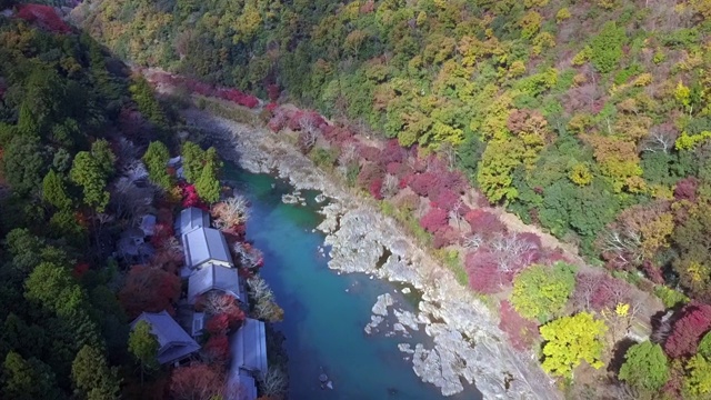 鸟瞰图多彩的岚山河与旅游船在水和森林在秋天的颜色，桂河在秋天和船，岚山，京都，日本。视频素材