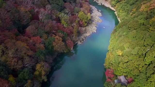 鸟瞰图多彩的岚山河与旅游船在水和森林在秋天的颜色，桂河在秋天和船，岚山，京都，日本。视频素材