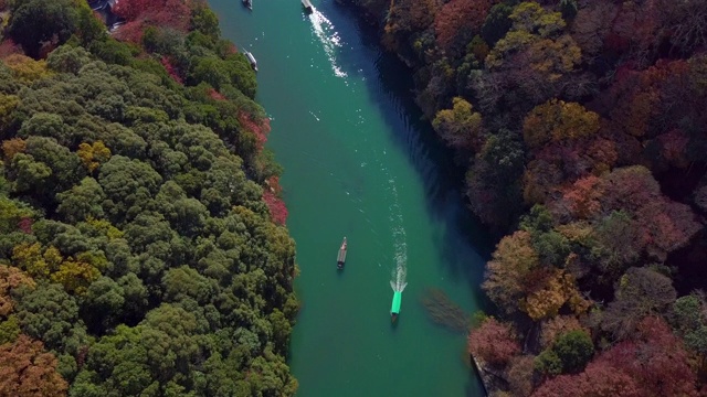 鸟瞰图多彩的岚山河与旅游船在水和森林在秋天的颜色，桂河在秋天和船，岚山，京都，日本。视频素材