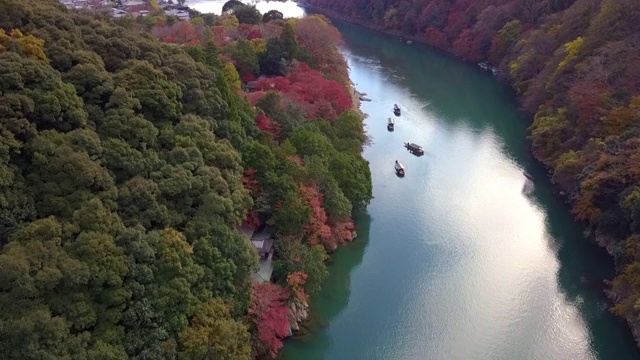 鸟瞰图多彩的岚山河与旅游船在水和森林在秋天的颜色，桂河在秋天和船，岚山，京都，日本。视频素材