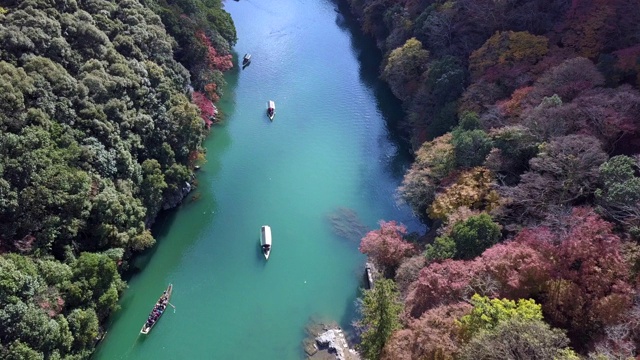 鸟瞰图多彩的岚山河与旅游船在水和森林在秋天的颜色，桂河在秋天和船，岚山，京都，日本。视频素材