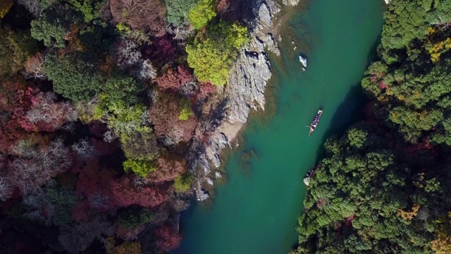 鸟瞰图多彩的岚山河与旅游船在水和森林在秋天的颜色，桂河在秋天和船，岚山，京都，日本。视频素材