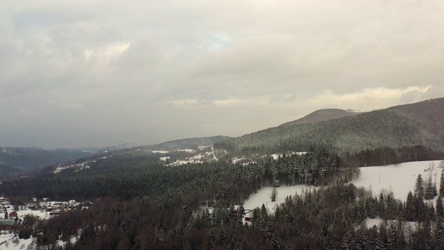 森林被雪覆盖的鸟瞰图视频素材