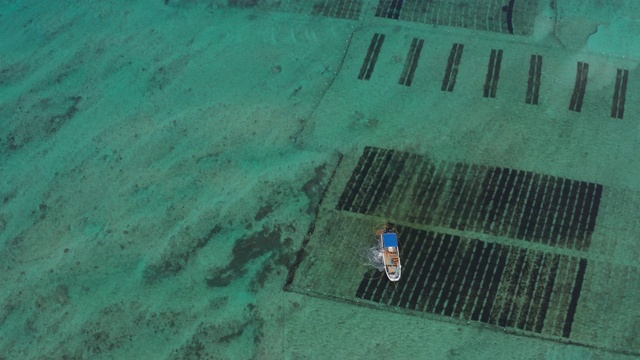 莫莫库海草养殖船日本冲绳无人机视图视频素材