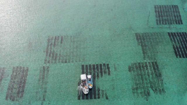 莫莫库海草养殖船日本冲绳无人机视图视频素材