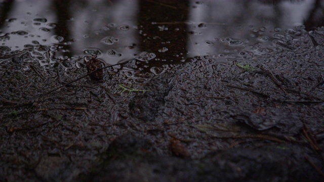 在泥泞的森林小路上的水坑上，伴随着点点滴滴的雨水视频素材