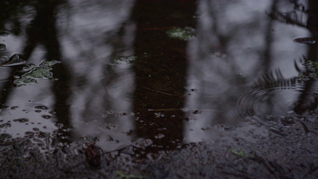 一个泥泞的水坑的特写镜头，雨水洒落在一条自然小径上视频素材