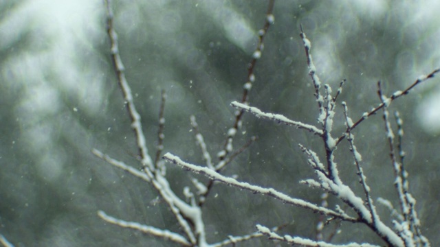 散景雪花背景视频素材