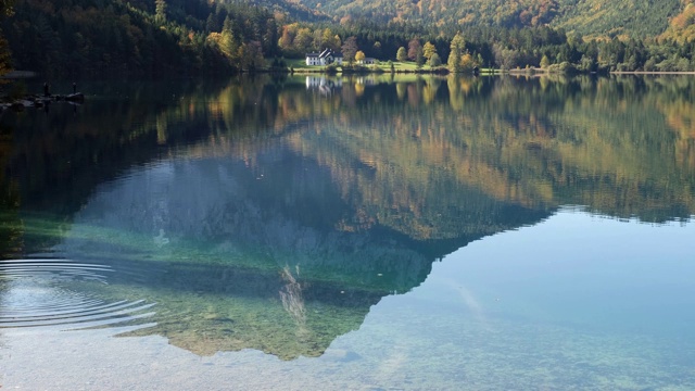 上奥地利Langbathseen湖的秋山倒影视频素材