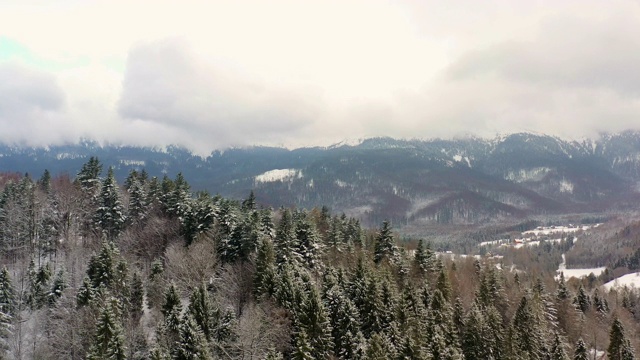 鸟瞰图的森林覆盖与雪山视频素材