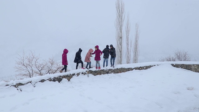 孩子们在雪地里玩视频素材