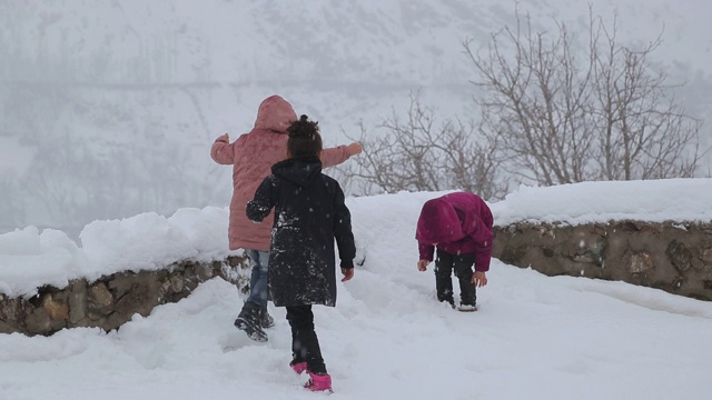 孩子们在雪地里玩视频素材