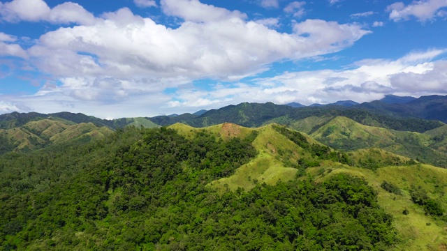 夏天山上绿草如茵，天空湛蓝视频素材