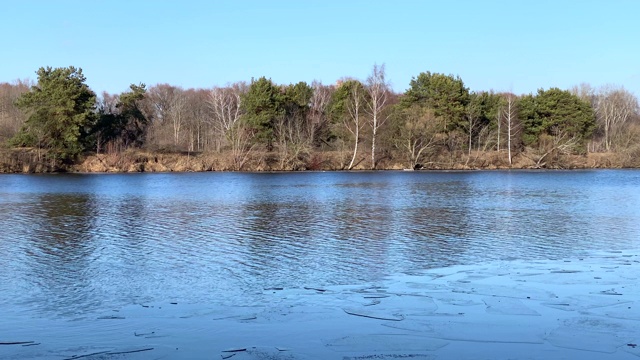 冬湖森林景观视频素材