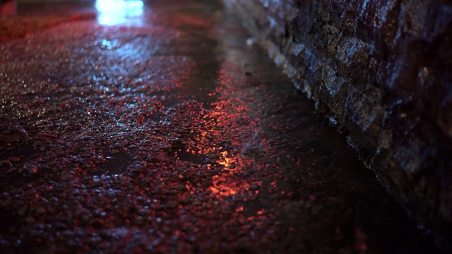 夜晚的城市街道，雨后的霓虹灯在潮湿的路面上反射。视频素材