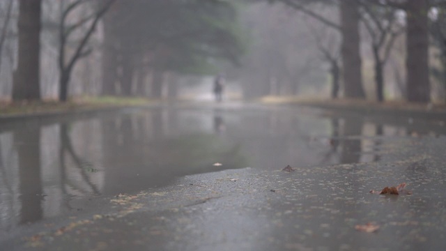 秋雨过后的小巷在秋天的人行道上泛起水坑。视频素材