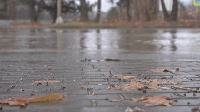 秋天的雨天，城市交通在潮湿的道路上行驶，汽车驶过一个车轮溅起水花的水坑。视频素材