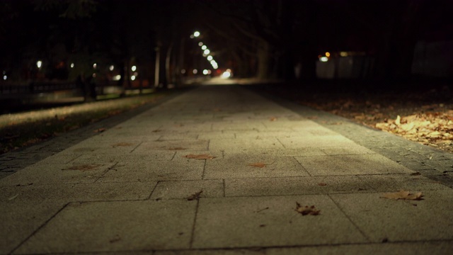 在秋天的夜晚，沿着河堤的空人行道被灯笼照亮视频素材