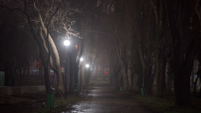 夜晚的城市景象，空旷黑暗的小巷，在一个秋天的夜晚，城市公园的灯笼照亮。视频素材