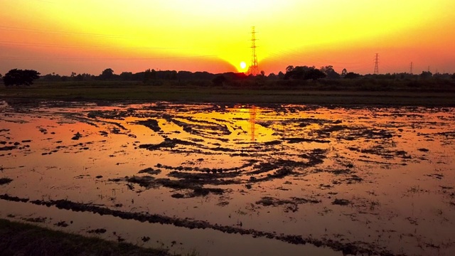 日落黄昏时稻田的无人机视图视频素材