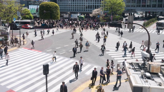 在日本过马路的人视频素材