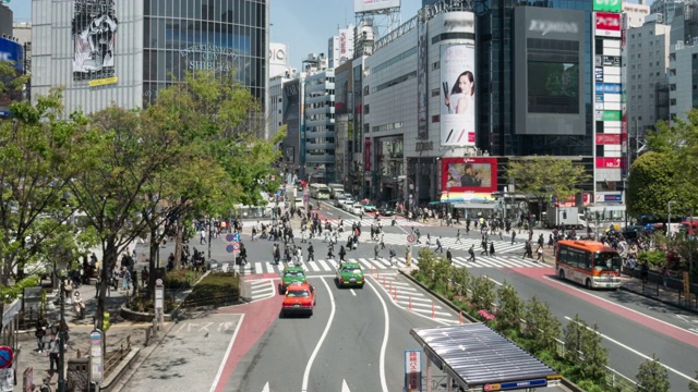 在日本过马路的人视频素材