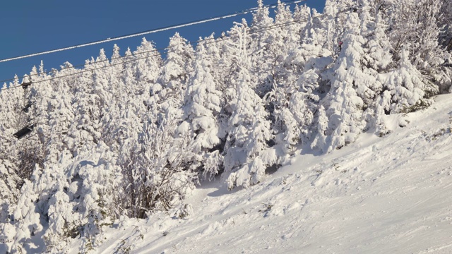 在雪树覆盖的滑雪缆车上滑雪的人，在滑雪坡上方的缆车视频素材