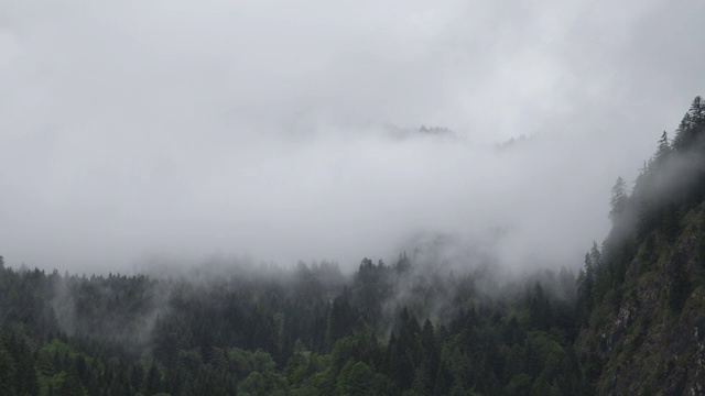 夏天下雨的时候，哈斯塔特周围的山上松树林顶部被云雾笼罩视频素材