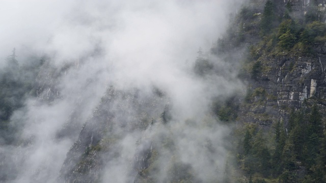 夏天下雨的时候，哈尔斯塔特周围山上的松树林像雾一样笼罩着云雾视频素材