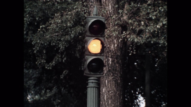 中等拍摄的红绿灯对着街道上的树视频素材