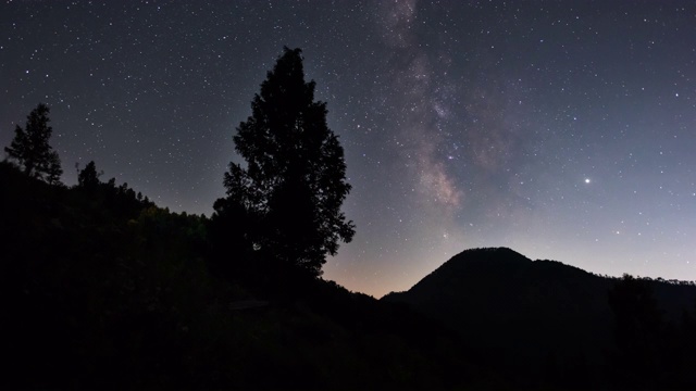 夜空与树/阳阳枪，庆尚北道，韩国视频素材