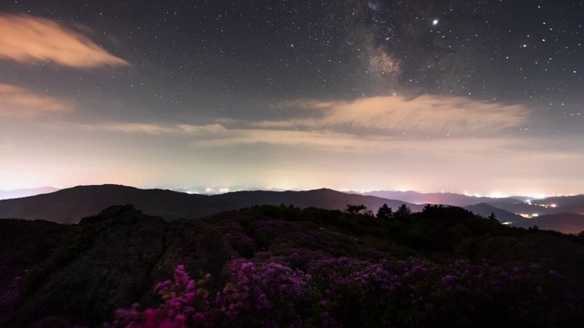 韩国全罗南道，Choamsan山/ boseonggun皇家杜鹃花的夜空视频素材