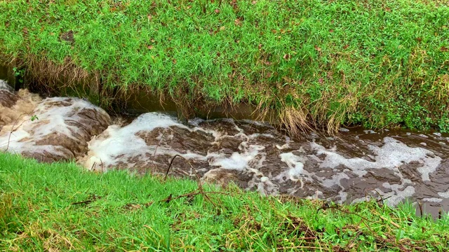 大雨过后，田间的水又急又流视频素材