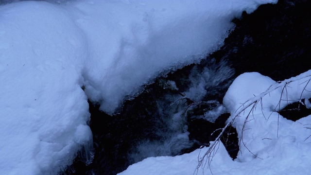 冬季森林中的山溪。冬季景观中冰雪下的山河流动视频素材