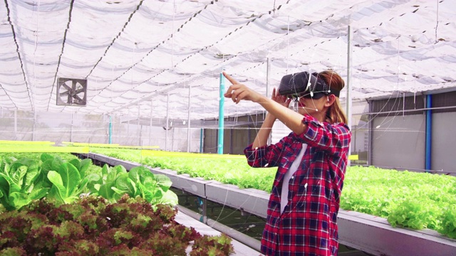 亚洲女农民使用VR眼镜探索水平农场种植的蔬菜。未来的蔬菜农场，没有转基因的新鲜清洁产品。技术概念为您的工作。4k。视频素材