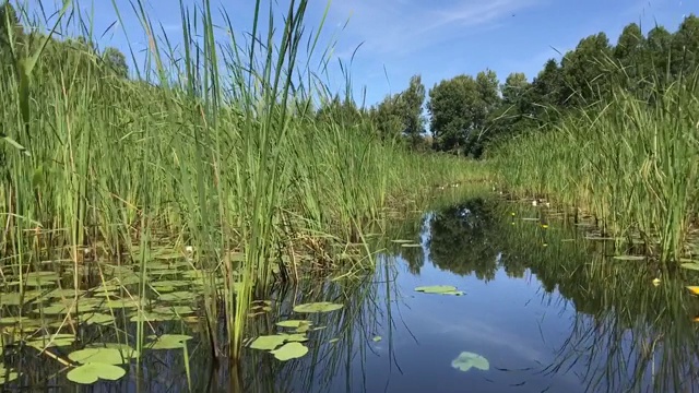 一个湖旅途视频素材