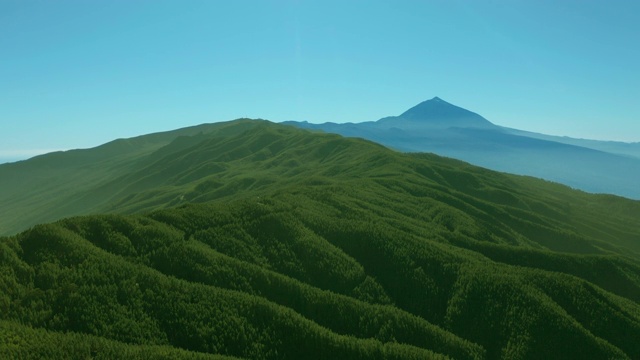 鸟瞰图。特内里费岛上茂密的松树林以泰德火山为背景视频素材