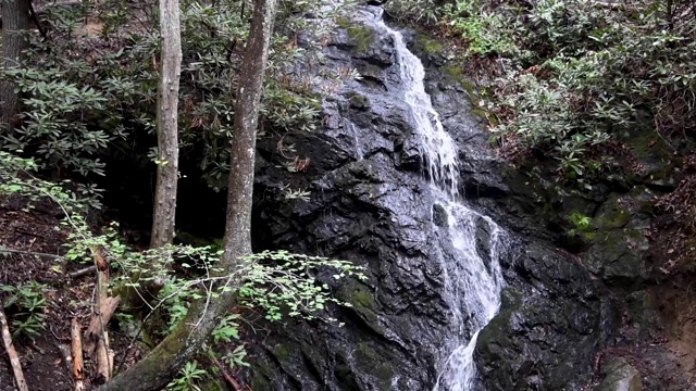 美国大烟山国家公园瀑布前的落叶视频素材