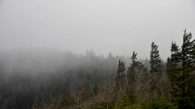 美国大烟山国家公园多云的时间流逝视频素材