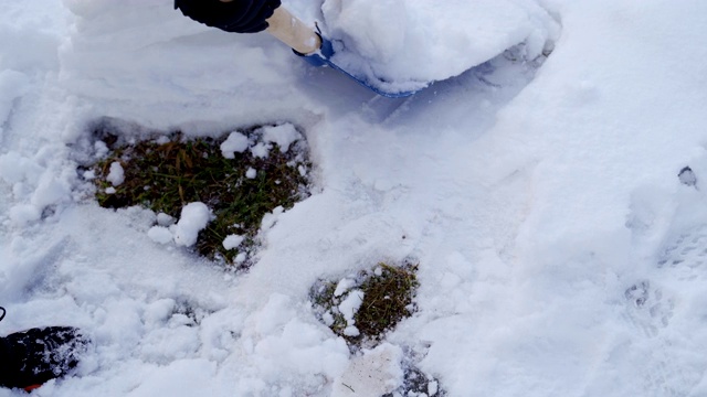 用铲子卷雪视频素材